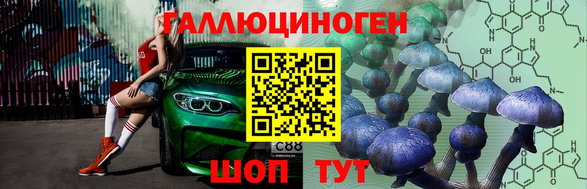 Галлюциногенные грибы MAGIC MUSHROOMS  даркнет сайт  Волгодонск  Вход с VPN 