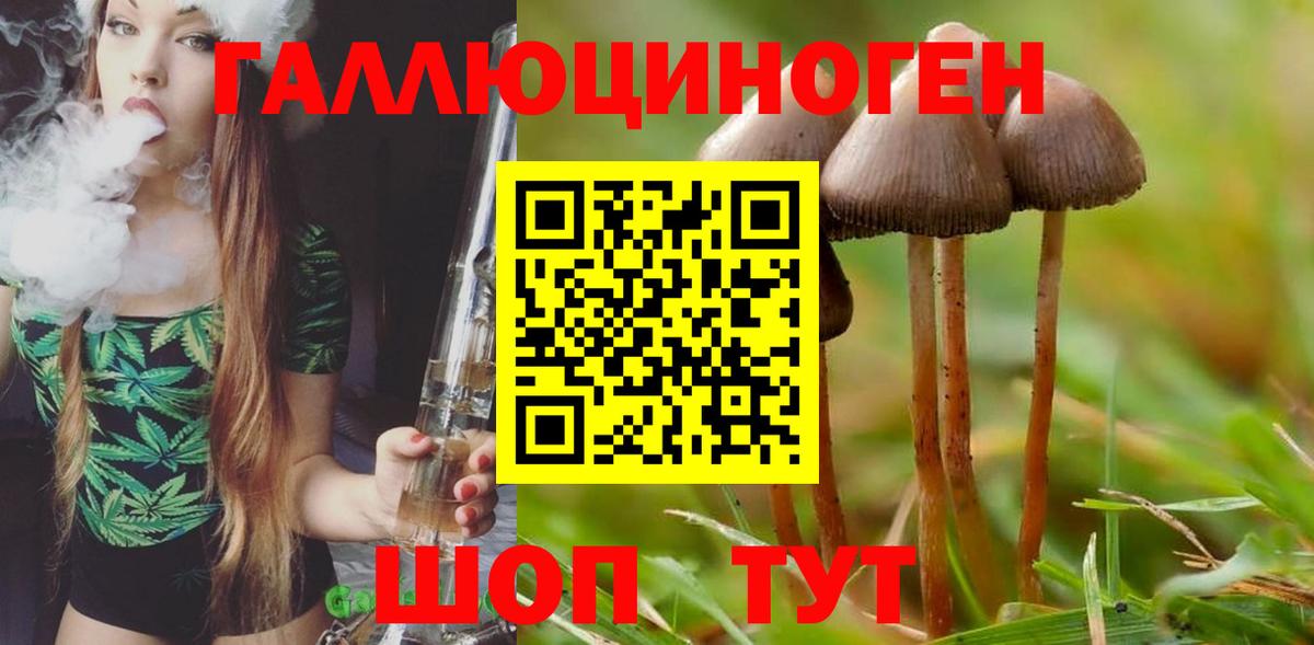 Псилоцибиновые грибы Magic Shrooms Волгодонск